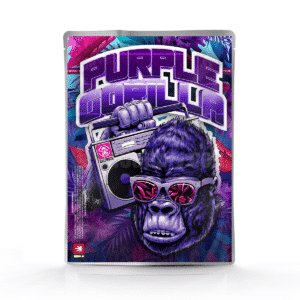 Purple Gorilla v2
