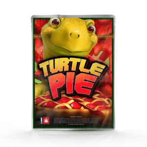 Turtle Pie