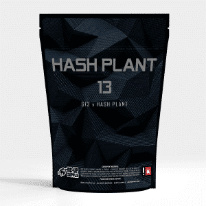 Hash Plant 13