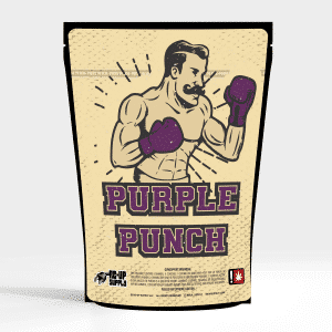 Purple Punch v2