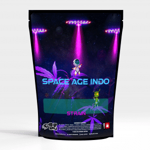 Space Age Indo