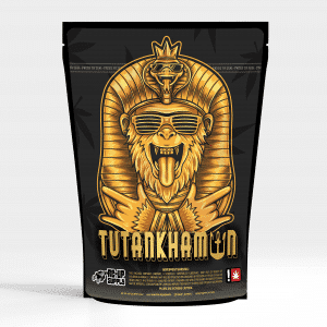 Tutankhamun Mylar bag – pre-designed cannabis packaging by Re-Up Supply Co.