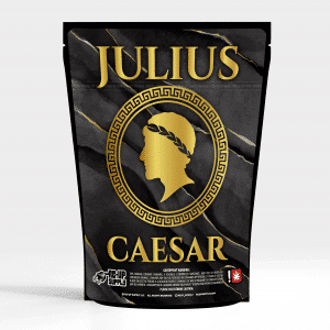 Julius Caesar