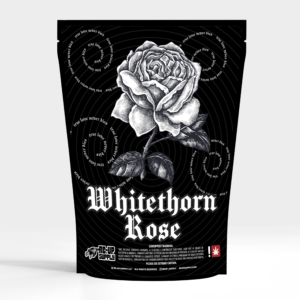 Whitethorn Rose