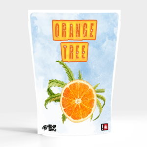 Orange Tree