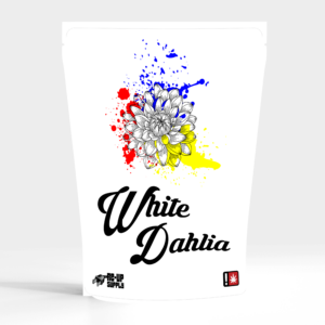 White Dahlia